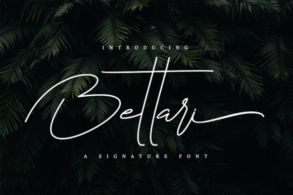 Bettari: A Script Font for Real-World Design
