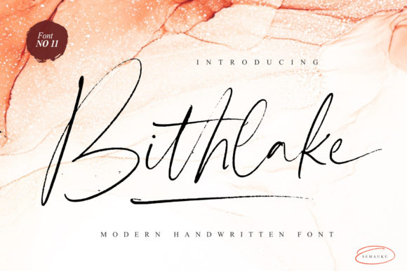 Bithlake: A Stylish Font for Business Branding
