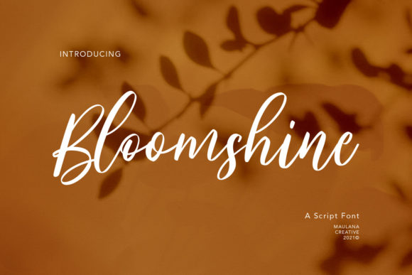 Bloomshine: A Stylish Font for Web Design