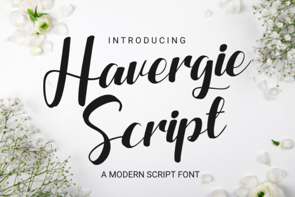 Havergie: A Stylish Script Font