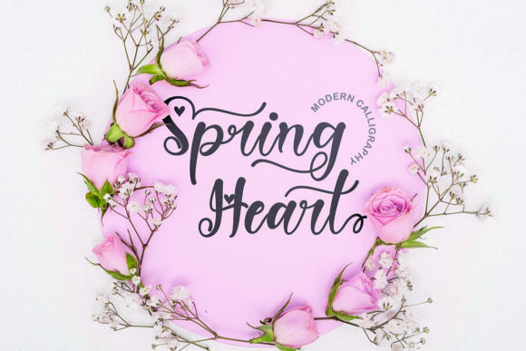 Spring Heart Font for Business